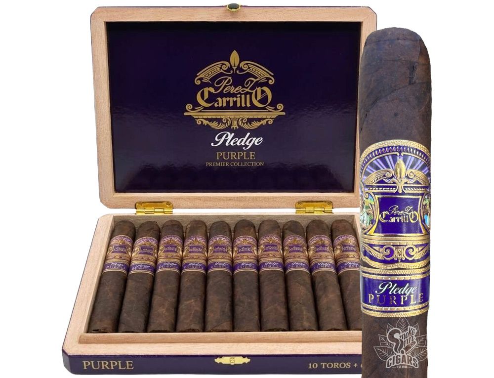 Casa Carrillo Pledge Purple