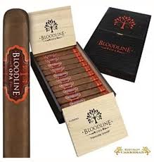 Esteban Carreras Bloodline San Andres